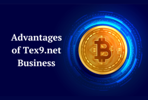 tex9.net-business